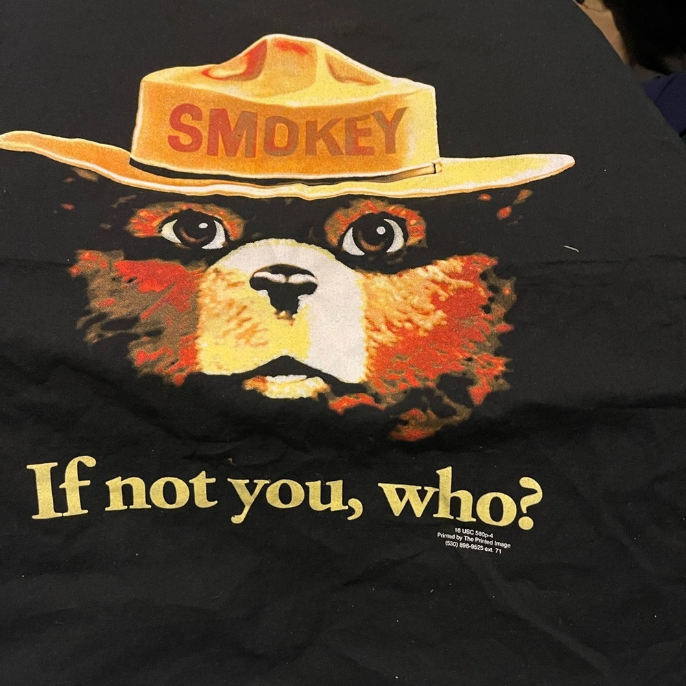 SMOKEY the BEAR BANDANA Scarf "IF NOT YOU, WHO?" ~  22" X 22"